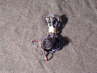 DSCN0767