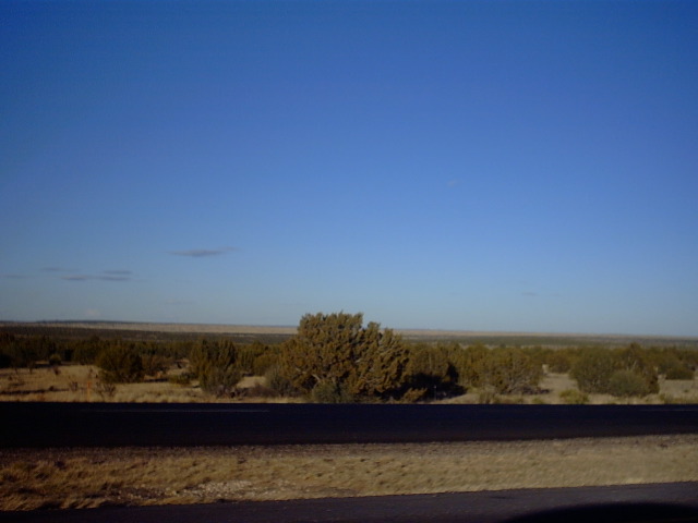 IMG00005.JPG