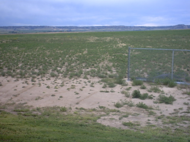 IMG00010_7